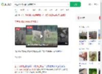秦皇岛动物园遇猛虎惊魂实录_360搜索