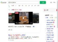 被东风5C烧饼馋到了_360搜索