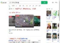 气象台回应绥化突降冰雹_360搜索