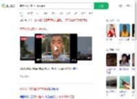 专家分析印度坠机事故原因_360搜索