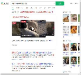 土狗长毛靠智商在狗群称霸_360搜索