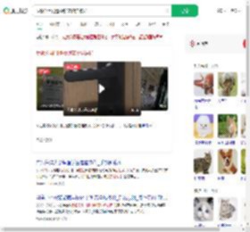 反锁公用门遭撬锁宠物猫被扔_360搜索